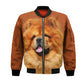 Chow Chow - Unisex 3D Graphic Bomber Jacket