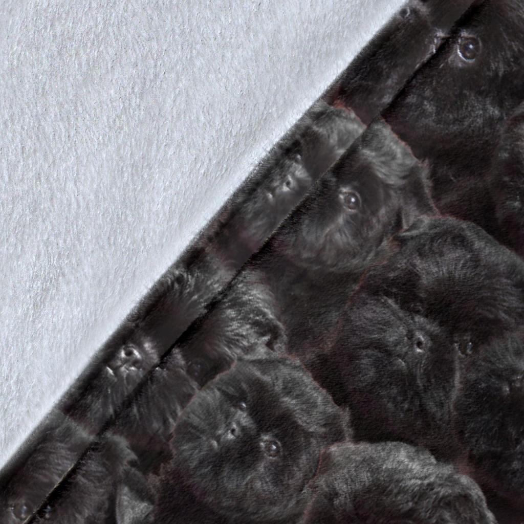 Affenpinscher Full Face Blanket