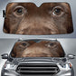 Chesapeake Bay Eyes Car Sun Shade 94