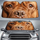 Dogue de Bordeaux Eyes Car Sun Shade 94
