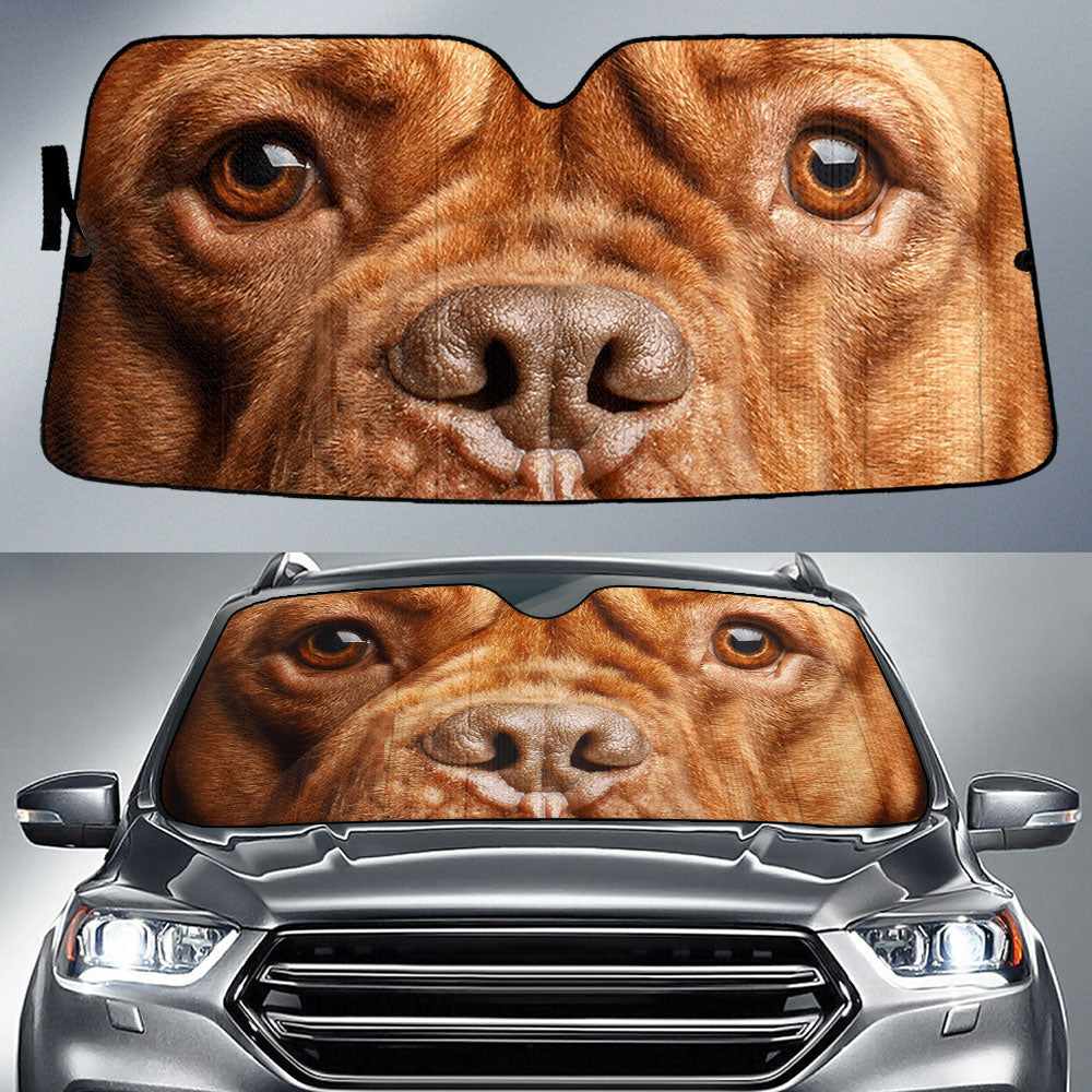 Dogue de Bordeaux Eyes Car Sun Shade 94