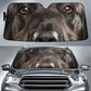 Flat Coated Retriever Eyes Car Sun Shade 94