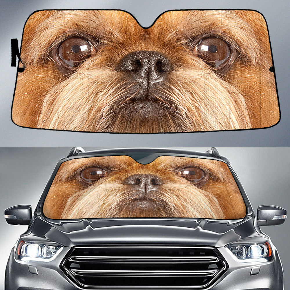 Griffon Brussels Eyes Car Sun Shade 94