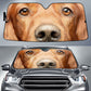 Irish Setter Eyes Car Sun Shade 94