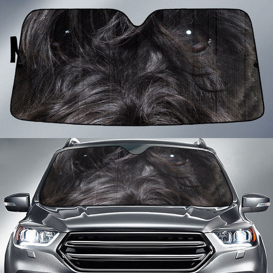 Kerry Blue Terriers Eyes Car Sun Shade 94