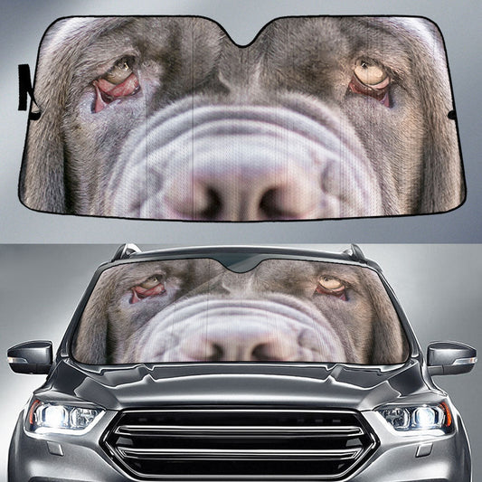 Neapolitan mastiff Eyes Car Sun Shade 94