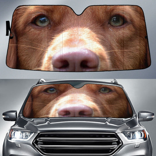 Nova Scotia duck tolling retriever Eyes Car Sun Shade 94