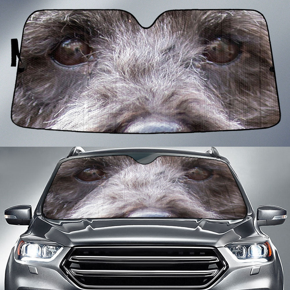 Pumi dog Eyes Car Sun Shade 94