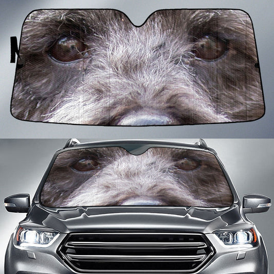 Pumi dog Eyes Car Sun Shade 94