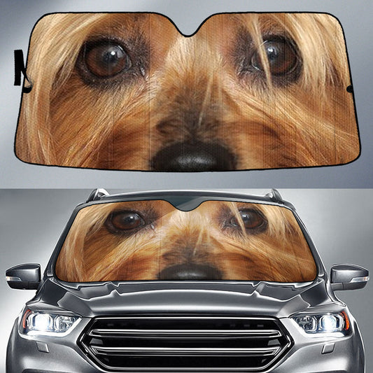 Silky Terrier Eyes Car Sun Shade 94