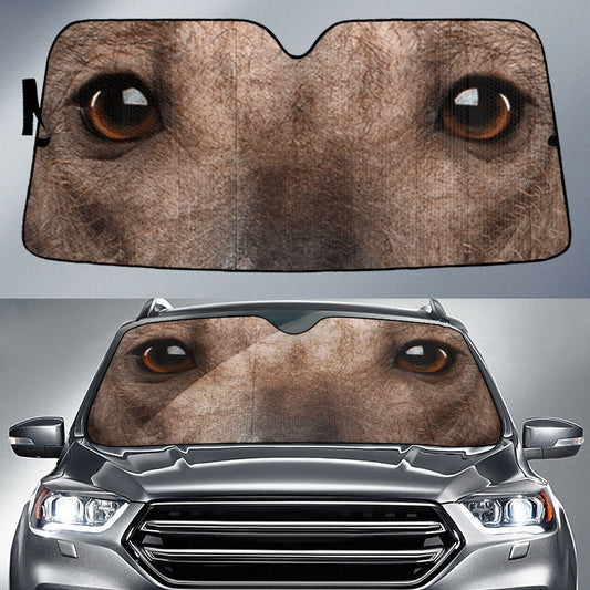 Xoloitzcuintli Car Sun Shade 94