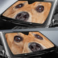 Carolina Dog Eyes Car Sun Shade 94