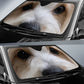 Coton de Tuleard Eyes Car Sun Shade 94
