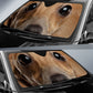 Italian Greyhound Eyes Car Sun Shade 94
