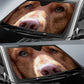 Nova Scotia duck tolling retriever Eyes Car Sun Shade 94