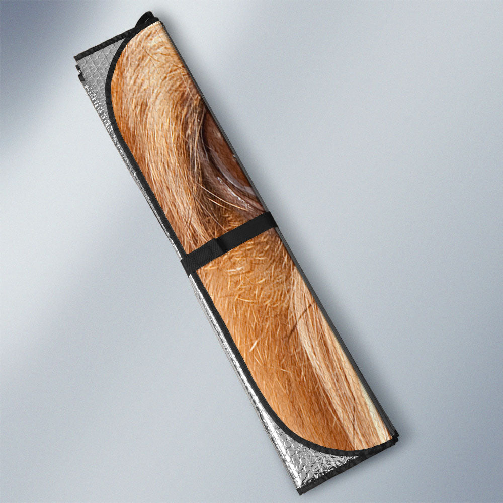 Griffon Brussels Eyes Car Sun Shade 94