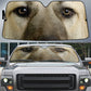 Anatolian Shepherd Eyes Car Sun Shade 94