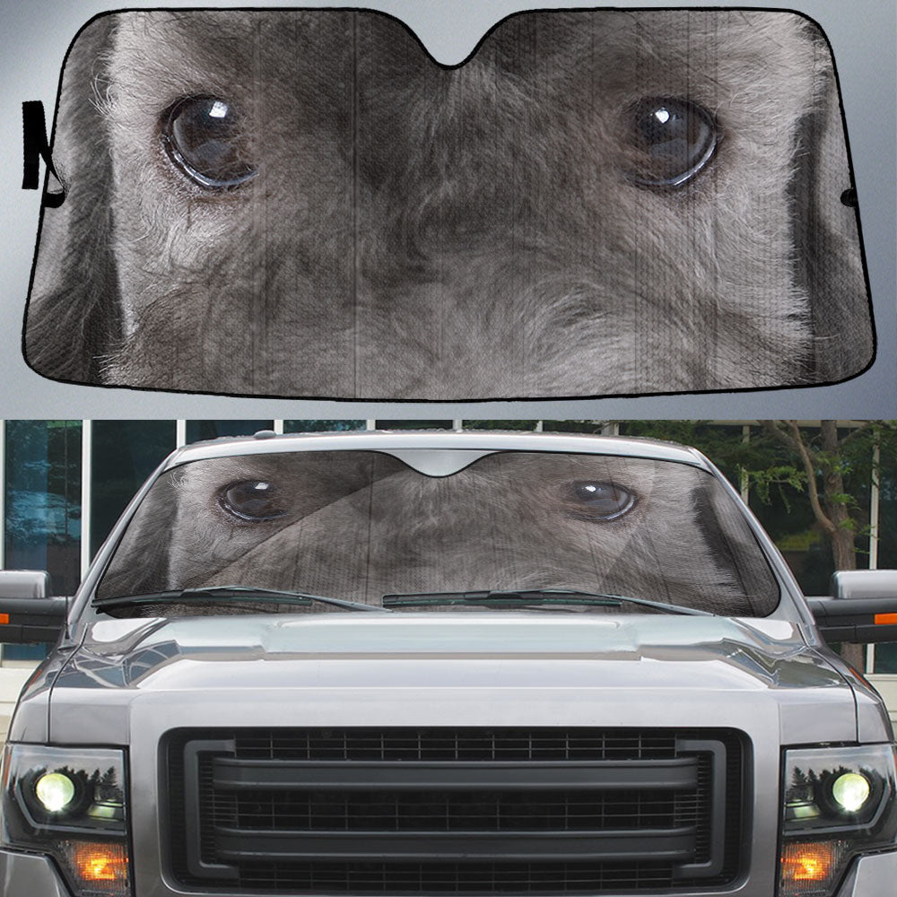 Bedlington Terrier Eyes Car Sun Shade 94